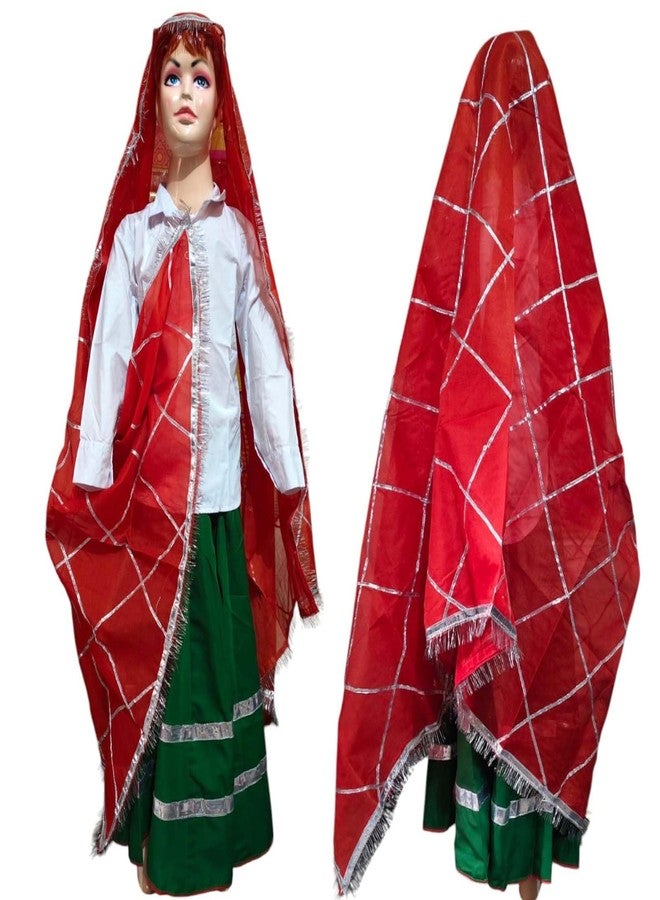 MODERNAZ زي هاريانفي الهندي من مودرناز للبنات | قميص، وharyanavi ghagra، وharyanvi oidhni dupatta | فستان فاخر لمدرسة الرقص في قرية هاريانا (فستان أخضر، 2-4 سنوات) - Image 1